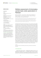 Welfare assessment of dromedary camels kept under pastoralism in Pakistan