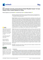 Do Camels (Camelus dromedarius) Need Shaded Areas? A Case Study of the Camel Market in Doha