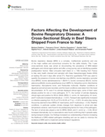 Factors Affecting the Development of Bovine Respiratory Disease: A Cross-Sectional Study in Beef Steers Shipped From France to Italy