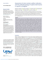 Assessment of ante mortem welfare indicators and the pathophysiology of captive-bolt trauma in equids at slaughter