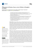 Assessment of Donkey (Equus asinus) Welfare at Slaughter in Ghana