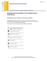 Management and welfare of the Italian Heavy Draft Horse