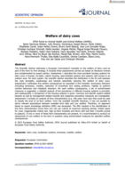 Welfare of dairy cows