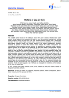 Welfare of pigs on farm