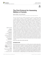 The First Protocol for Assessing Welfare of Camels