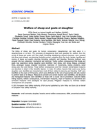 Welfare of sheep and goats at slaughter