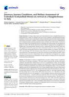 Journeys, Journey Conditions, and Welfare Assessment of Unbroken (Unhandled) Horses on Arrival at a Slaughterhouse in Italy