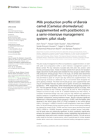 Milk production profile of Barela camel (Camelus dromedarius) supplemented with postbiotics in a semi-intensive management system: pilot study
