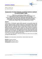 Assessment of animal diseases caused by bacteria resistant to antimicrobials: cattle