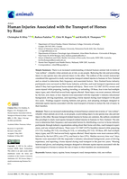 Human injuries associated with the transport of horses by road