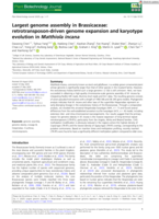 Largest genome assembly in Brassicaceae: retrotransposon-driven genome expansion and karyotype evolution in Matthiola incana