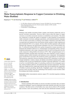 Meta-Transcriptomic Response to Copper Corrosion in Drinking Water Biofilms