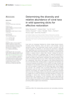 Determining the diversity and relative abundance of coral taxa in wild spawning slicks for effective restoration