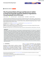 The Functional Role of Fungi and Bacteria in Sulfur Cycling During Kelp (Ecklonia Radiata) Degradation: Unconventional Use of PiCrust2