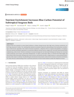 Nutrient Enrichment Increases Blue Carbon Potential of Subtropical Seagrass Beds