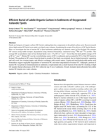 Efficient Burial of Labile Organic Carbon in Sediments of Oxygenated Icelandic Fjords