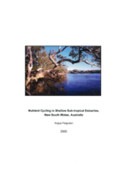 Nutrient cycling in shallow sub-tropical estuaries, New South Wales, Australia