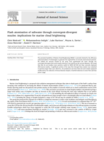 Flash atomisation of saltwater through convergent-divergent nozzles: implications for marine cloud brightening
