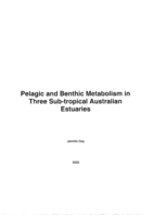 Pelagic and benthic metabolism in three sub-tropical Australian estuaries