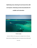 Optimising mass culturing of coral larvae from wild coral spawn: enhancing survival and production for scalable reef restoration