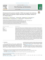 Chromosome-level genome assembly of IR64 near-isogenic line harboring Saltol reveals novel genomic regions associated with salinity tolerance in rice (Oryza sativa L.)