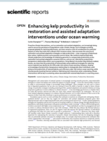 Enhancing kelp productivity in restoration and assisted adaptation interventions under ocean warming