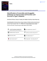 Identification of reversible and druggable pathways to improve beta-cell function and survival in Type 2 diabetes