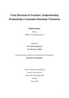 From Structure to Function: Understanding Productivity in Cannabis Glandular Trichomes