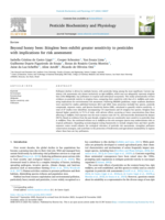 Beyond honey bees: Stingless bees exhibit greater sensitivity to pesticides with implications for risk assessment