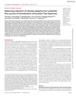 Balancing selection of climate adaptive loci underlies the success of introduction of Eurasian Tree Sparrows
