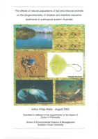 The effects of natural populations of epi and infaunal animals on the biogeochemistry of shallow and intertidal estuarine sediments in subtropical eastern Australia