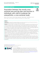 Association between hip muscle cross-sectional area and hip pain and function in individuals with mild-to-moderate hip osteoarthritis: a cross-sectional study