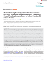 Habitat-Forming Macroalgae Show Greater Resilience to Marine Heatwaves Than Models Predict, Yet Chronic Ocean Warming Remains Poised to Deliver Considerable Future Declines