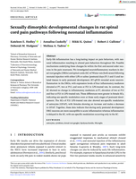 Sexually dimorphic developmental changes in rat spinal cord pain pathways following neonatal inflammation