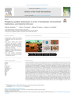 Phosphorus–goethite interactions: A review of mechanisms, environmental implications, and industrial relevance