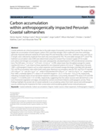 Carbon accumulation within anthropogenically impacted Peruvian Coastal saltmarshes