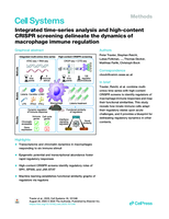 Integrated time-series analysis and high-content CRISPR screening delineate the dynamics of macrophage immune regulation
