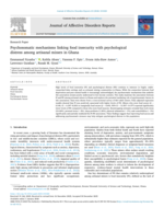 Psychosomatic mechanisms linking food insecurity with psychological distress among artisanal miners in Ghana