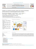 Goethite as an antimony host-phase: Atomic-scale retention mechanisms and the selectivity of commonly-applied extraction schemes