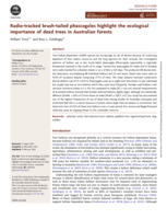 Radio-tracked brush-tailed phascogales highlight the ecological importance of dead trees in Australian forests