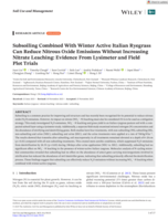 Subsoiling combined with winter active Italian ryegrass can reduce nitrous oxide emissions without increasing nitrate leaching: Evidence from lysimeter and field plot trials