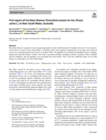First report of rice blast disease (Pyricularia oryzae) on rice (Oryza sativa L.) in New South Wales, Australia