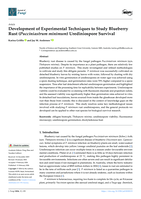 Development of Experimental Techniques to Study Blueberry Rust (Pucciniastrum minimum) Urediniospore Survival