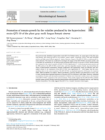 Promotion of tomato growth by the volatiles produced by the hypovirulent strain QT5-19 of the plant gray mold fungus Botrytis cinerea