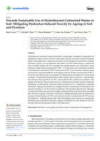 Towards Sustainable Use of Hydrothermal Carbonised Wastes in Soil: Mitigating Hydrochar-Induced Toxicity by Ageing in Soil and Pyrolysis