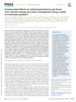 Compounded effects on wetland greenhouse gas fluxes from climate change and water management along a saline to freshwater gradient