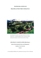 Water relations of transplanted tree seedlings