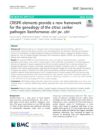 CRISPR elements provide a new framework for the genealogy of the citrus canker pathogen Xanthomonas citri pv. citri