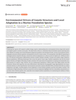 Environmental Drivers of Genetic Structure and Local Adaptation in a Marine Foundation Species