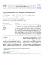 Tracing multi-anthropogenic inputs in intertidal mudflat sediments using lead and zinc isotopes